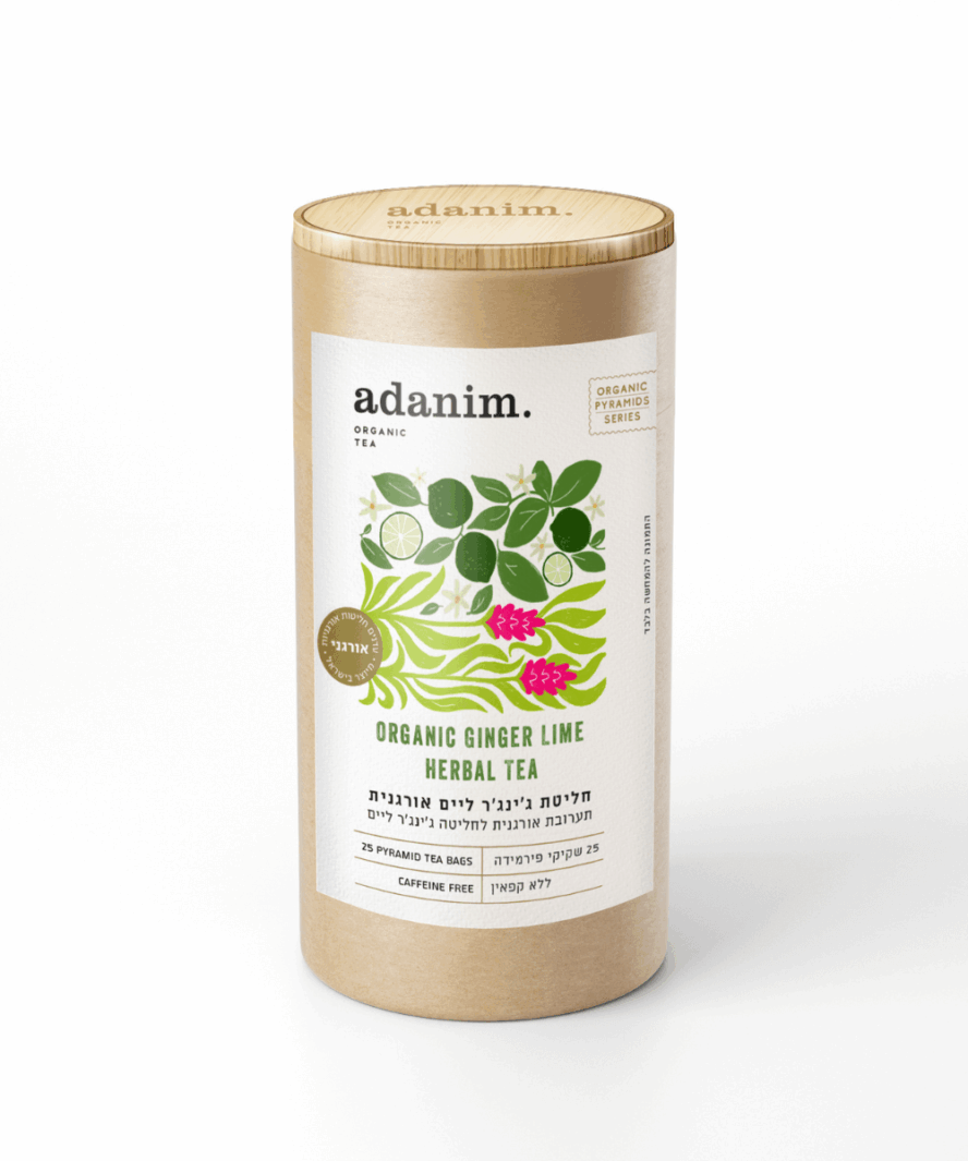 חליטת ג׳ינג׳ר ליים אורגנית