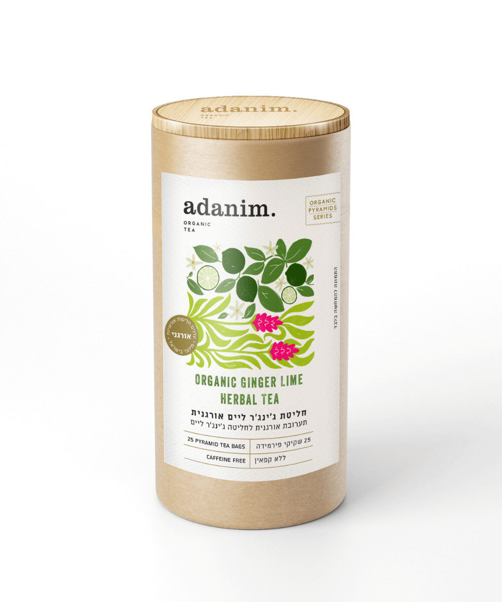 חליטת ג׳ינג׳ר ליים אורגנית