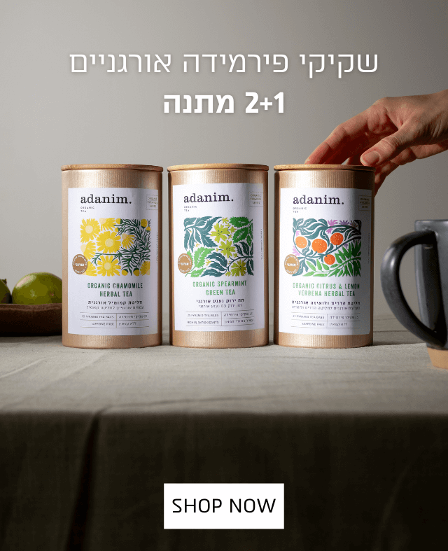 קולקציית חליטות פירמידה